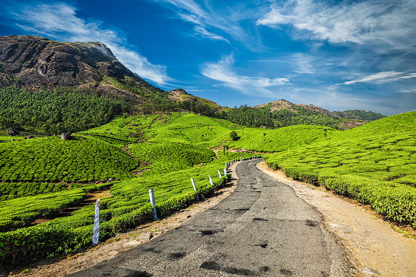 Kerala Backwaters & Hills Escape - 3