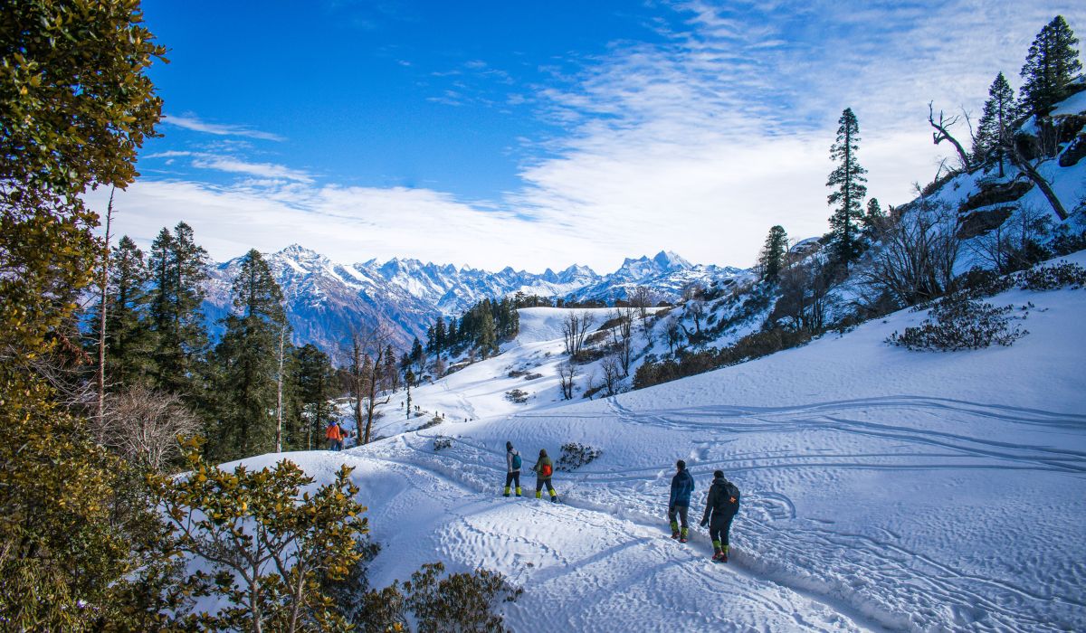 Shimla & Manali Escape - 2